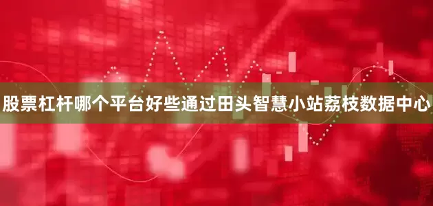 股票杠杆哪个平台好些通过田头智慧小站荔枝数据中心