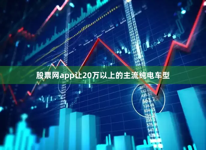 股票网app让20万以上的主流纯电车型
