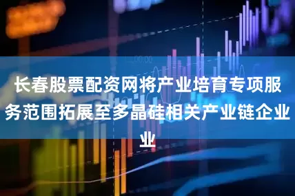 长春股票配资网将产业培育专项服务范围拓展至多晶硅相关产业链企业