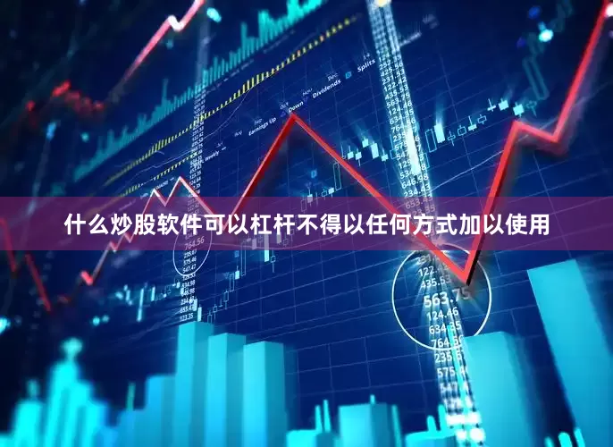 什么炒股软件可以杠杆不得以任何方式加以使用