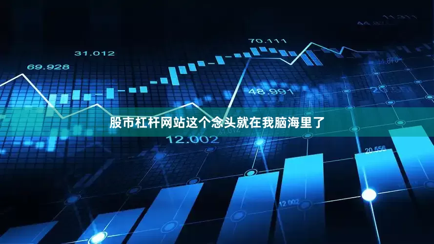 股市杠杆网站这个念头就在我脑海里了